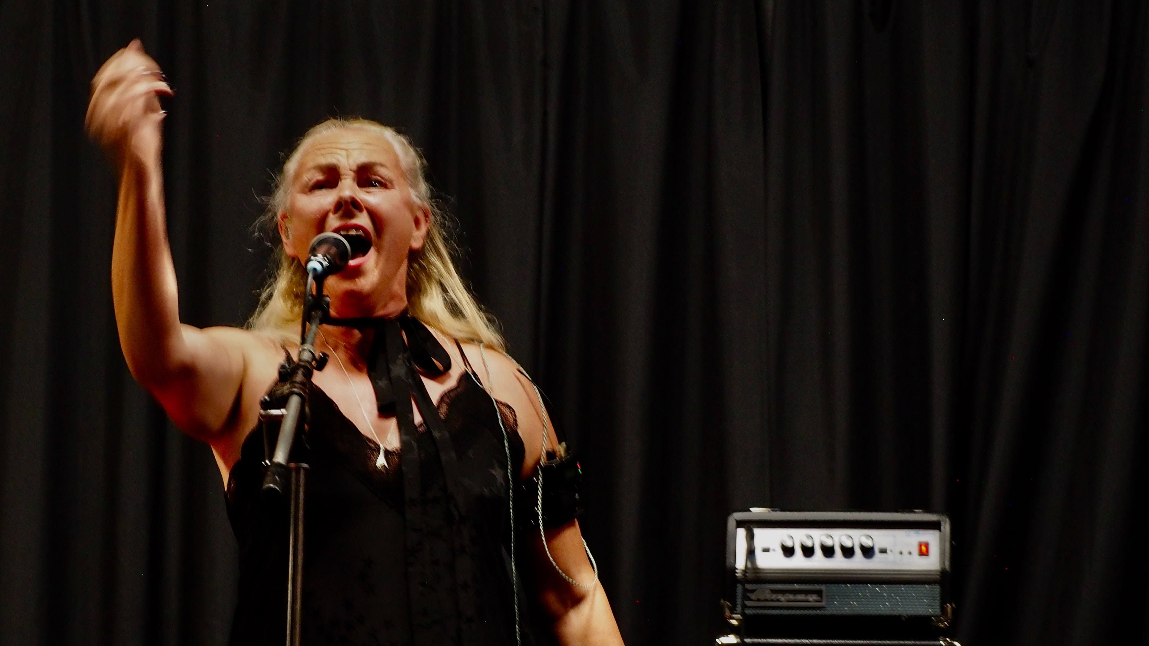 Lunattack singing into a microphone on stage during a live concert